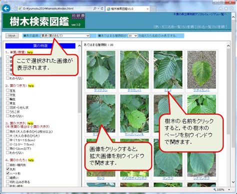 花品種名|植物名から探す（花の名前から調べる）